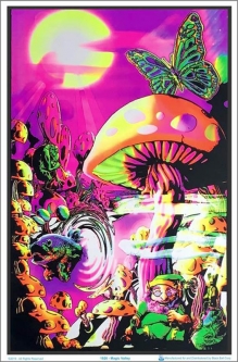 Magic Valley Flocked Black Light Poster