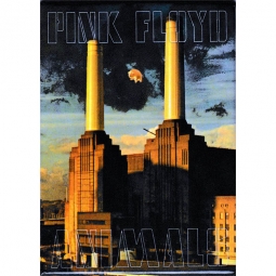 Pink Floyd Animals Magnet