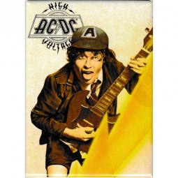 AC/DC High Voltage Magnet