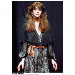 Kate Bush Holland 1978 Poster