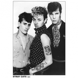 Stray Cats 1981 Photo Poster