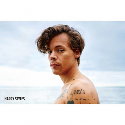 Harry Styles Beach Poster