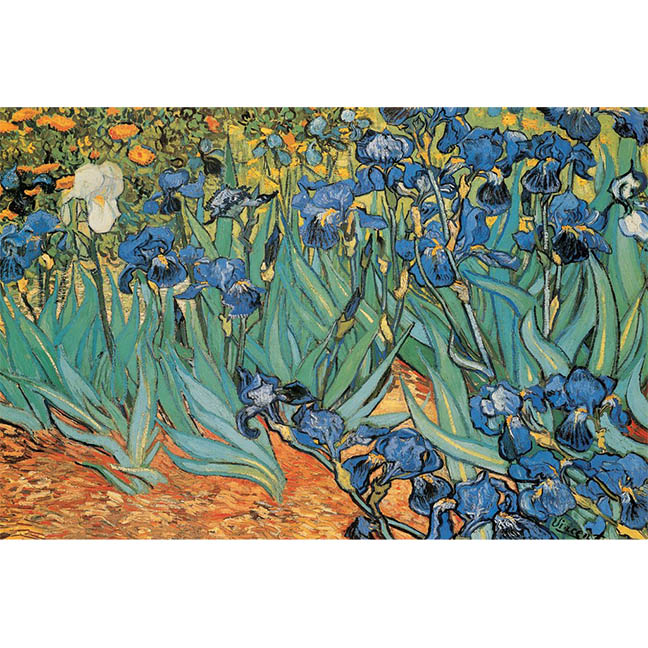 Vincent Van Gogh Irises Poster