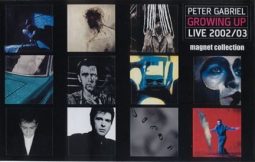 Peter Gabriel Magnet Set