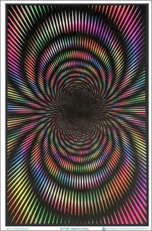 Magnetic Fantasy Flocked Black Light Poster
