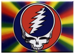 Grateful Dead Steal Your Face Magnet