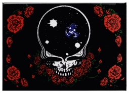 Grateful Dead Space Your Face Magnet