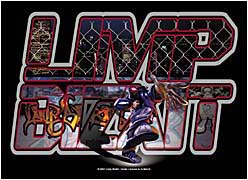 Limp Bizkit "Hood" Cloth Poster