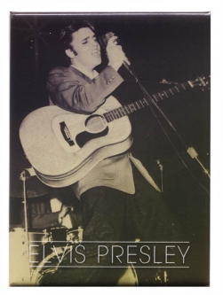 Elvis Presley Hound Dog Magnet