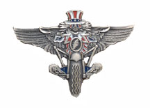 Grateful Dead Small Psycle Sam Wings Pin