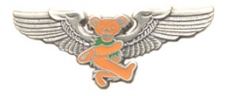 Grateful Dead Orange Bear Wings Pin