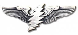 Grateful Dead Small Bolt Wings Pin