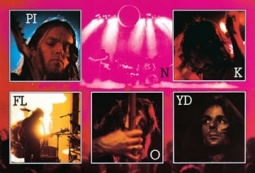 Pink Floyd "Live Collage" Poster
