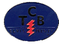 Elvis Presley TCB Pin